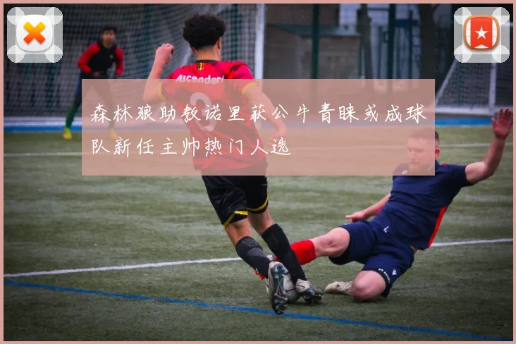 森林狼助教诺里获公牛青睐或成球队新任主帅热门人选